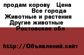 продам корову › Цена ­ 70 000 - Все города Животные и растения » Другие животные   . Ростовская обл.